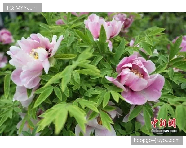 季丽萍训练完直接拎爱马仕去接娃，这生活谁懂啊